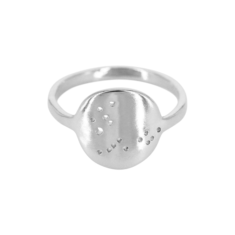 Pisces Zodiac Constellation Ring / Silver or 14k